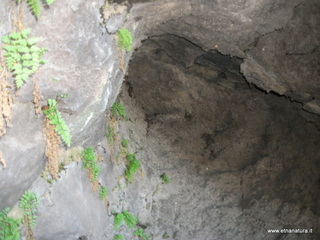 Grotta monte Nero delle Concazze